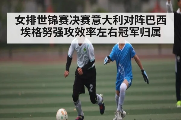 女排世锦赛决赛意大利对阵巴西 埃格努强攻效率左右冠军归属 - kaiyun